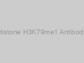 Histone H3K79me1 Antibody